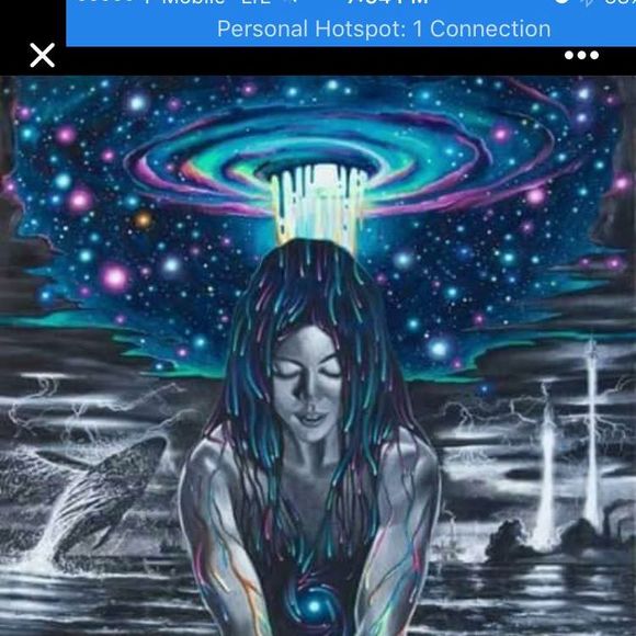 Meet your Posher, Rosa - Picture 1 of 1